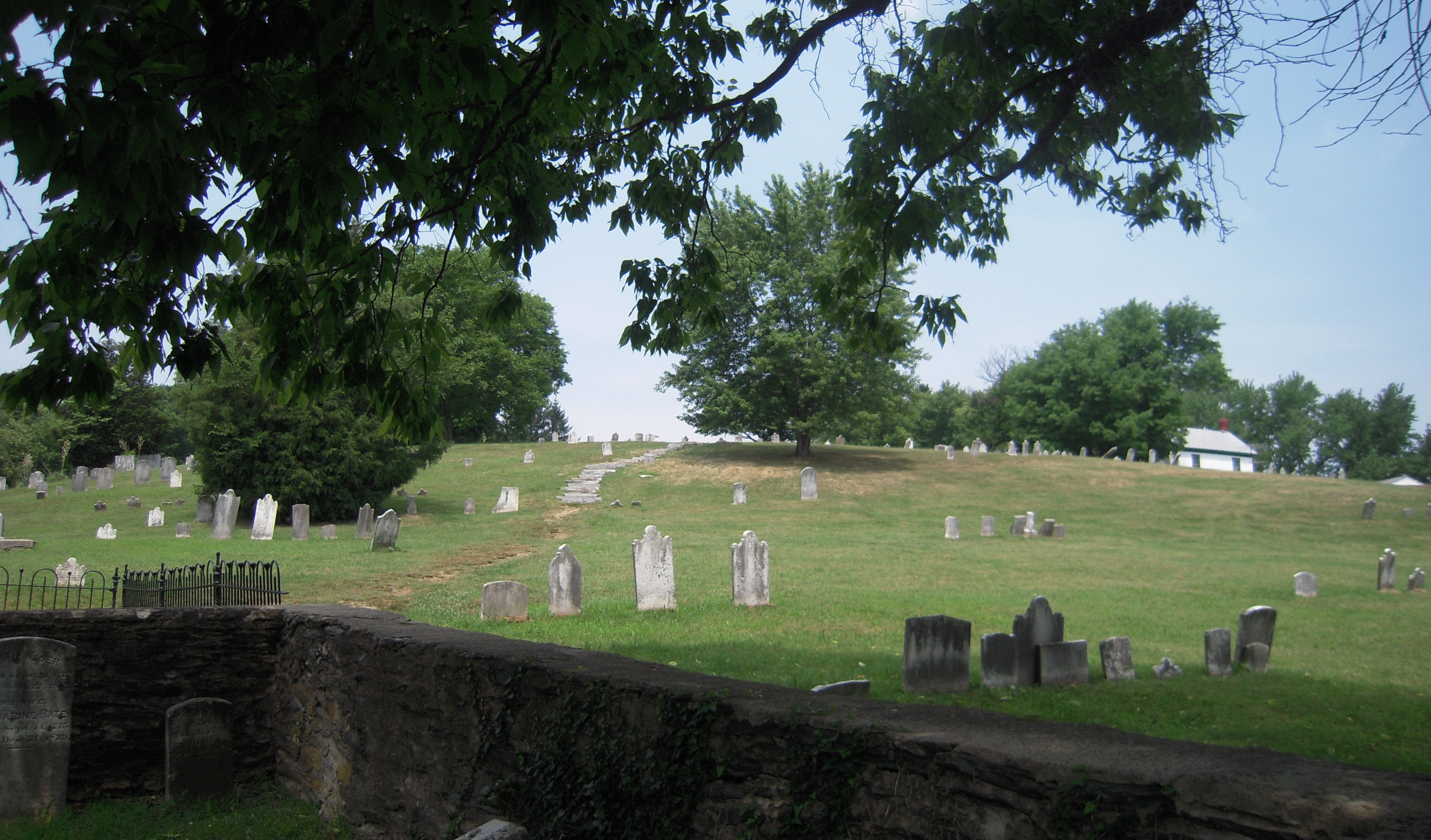 Shade, AND our first WV find!
