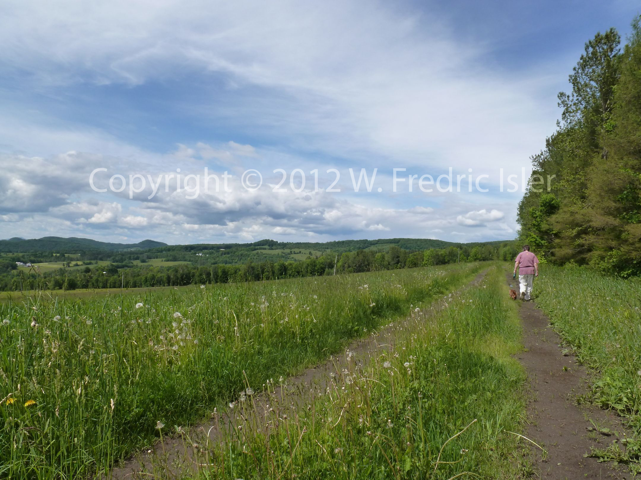 ...after exploring a second meadow to the southwest