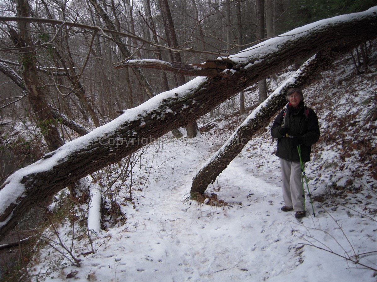 ...and dagdvm a bit closer :)