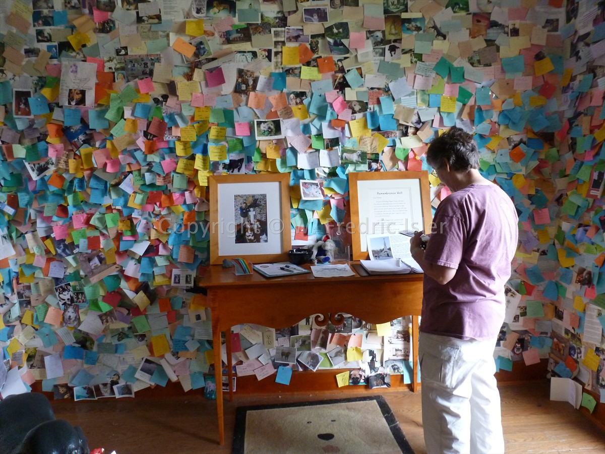 dagdvm, surrounded by love stories