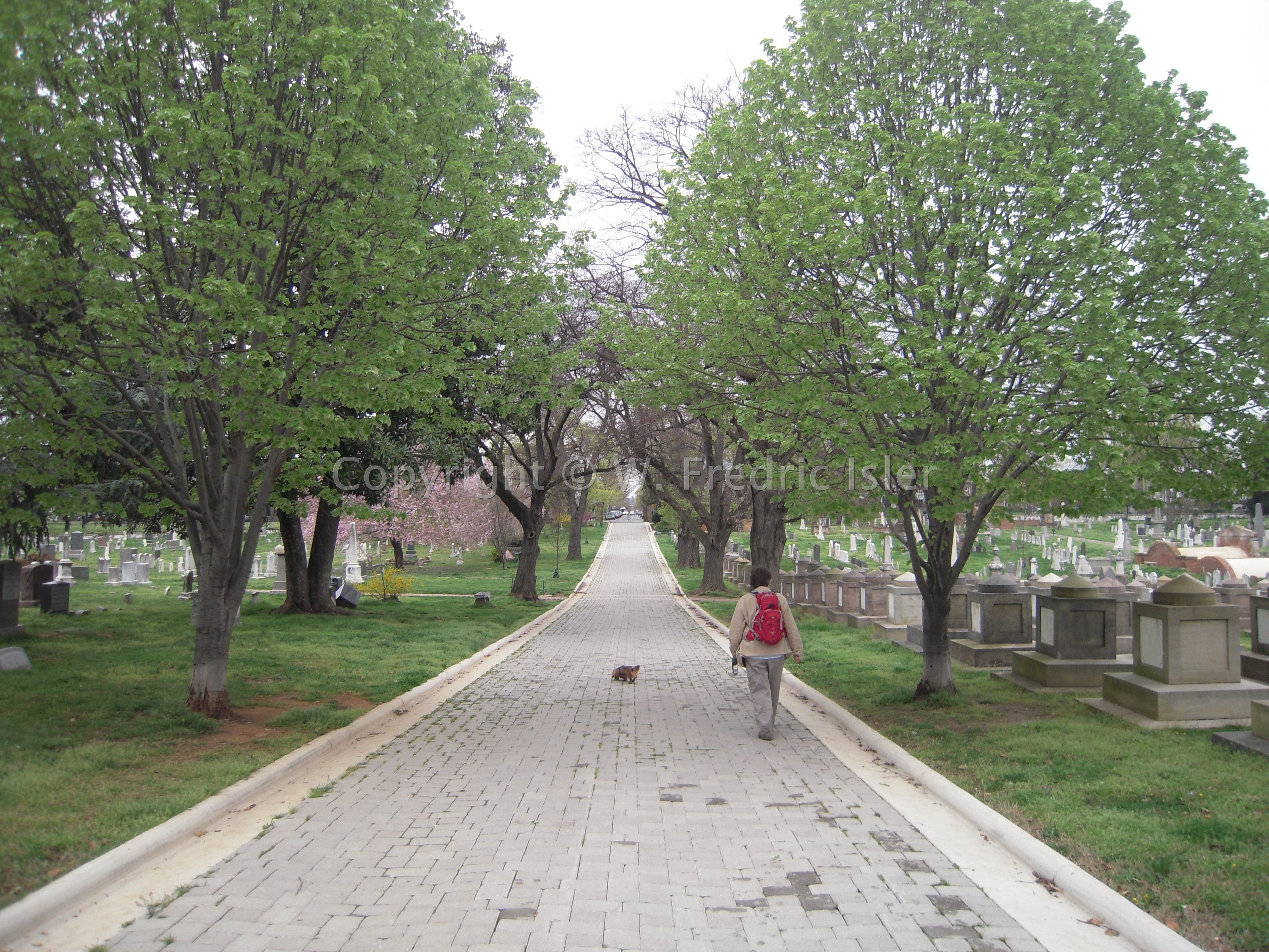 Congressional Cemetery