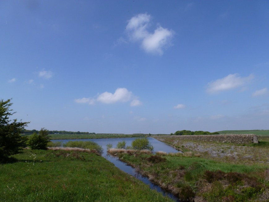 looking north from the southeast corner