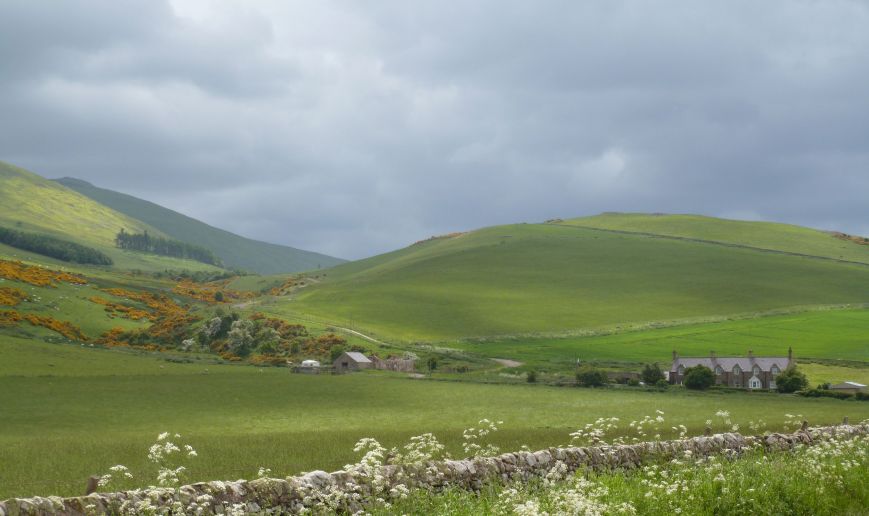 near Ad Gefrin, Northumberland, 14 June