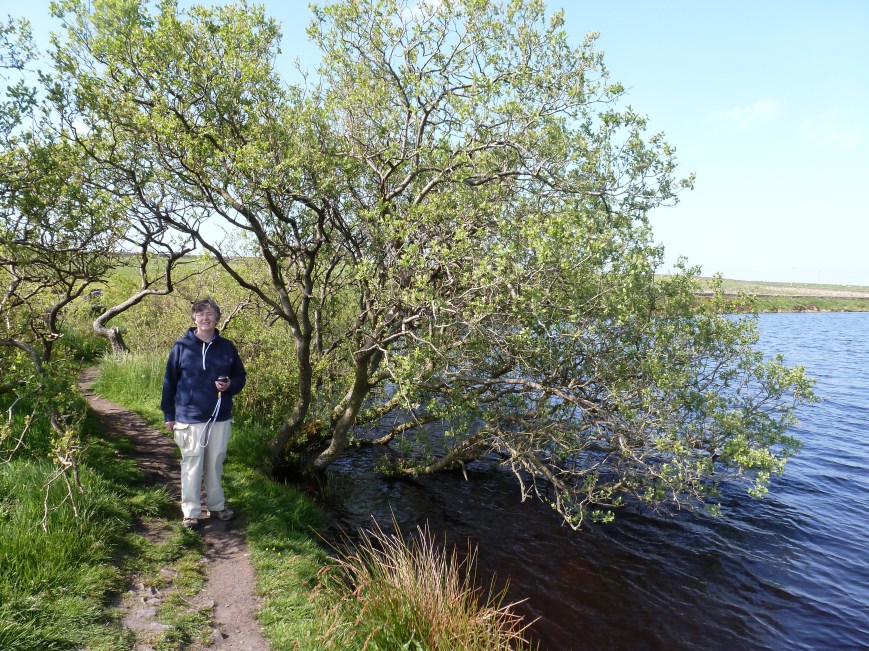 dagdvm at the reservoir's westernmost point