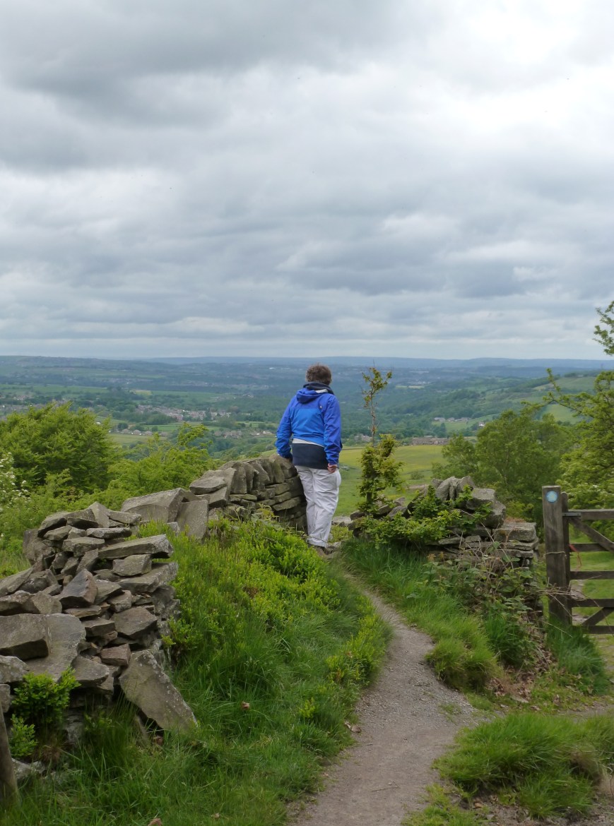 "Keeping straight ahead, a small wall is easily negotiated..."